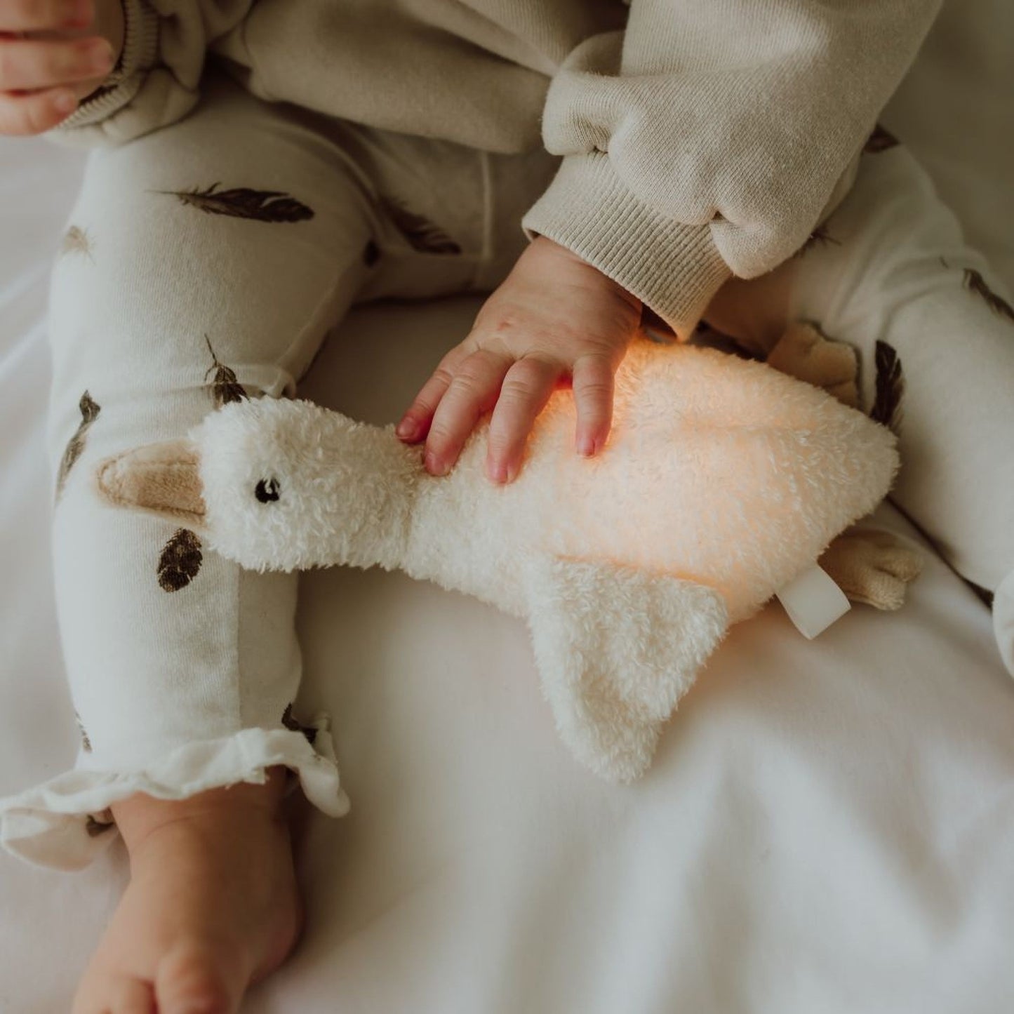 Peluche lumineuse