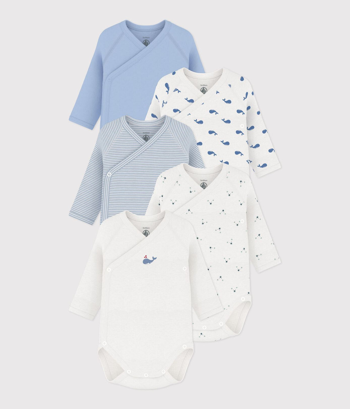 Lot de 5 bodies croises manches longues  Baleine