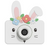 Lapin