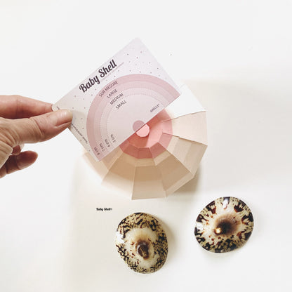 Coquillages d’allaitement