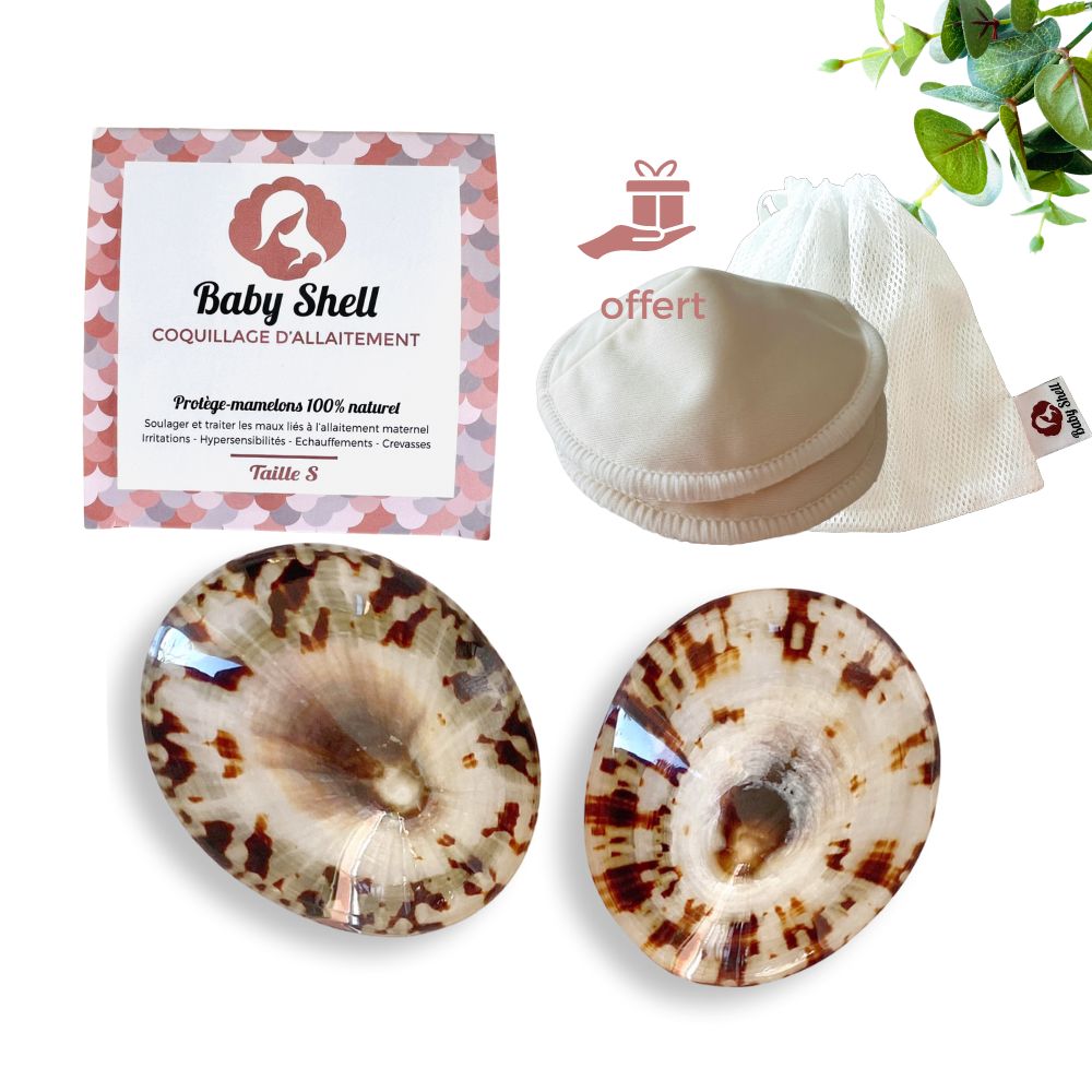 Coquillages d’allaitement