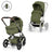 Moss green (Taupe Frame)
