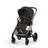 Chocolate Brown (Taupe Frame)