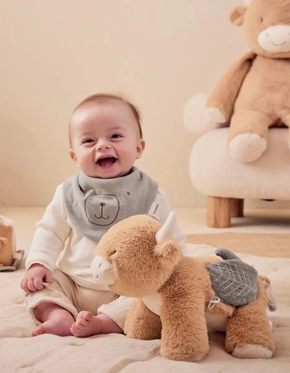 Peluche d'activités