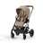 Almond Beige (Taupe Frame)