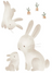 Bébé bunny
